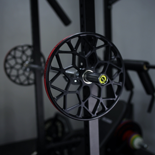 Technique plate 2.5kg