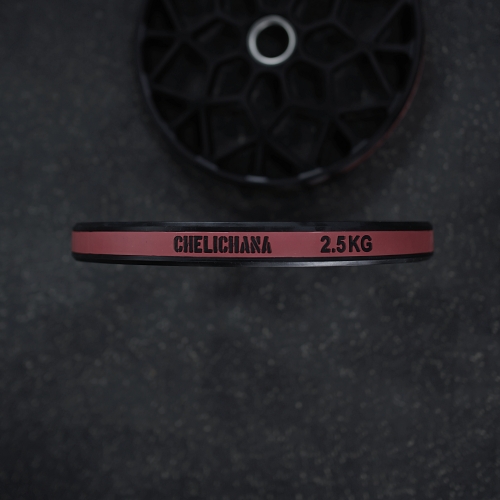 Technique plate 2.5kg