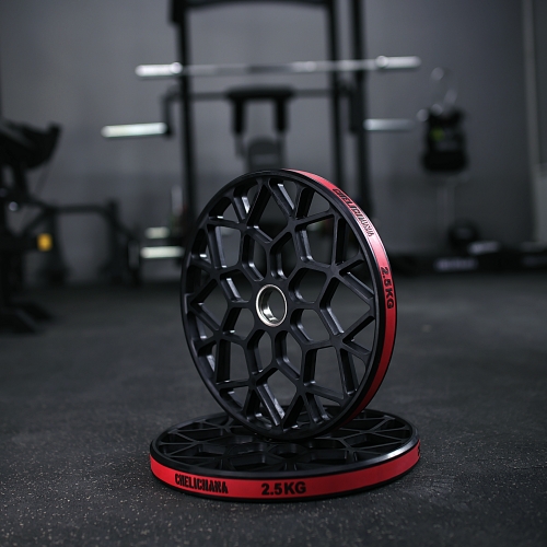 Technique plate 2.5kg